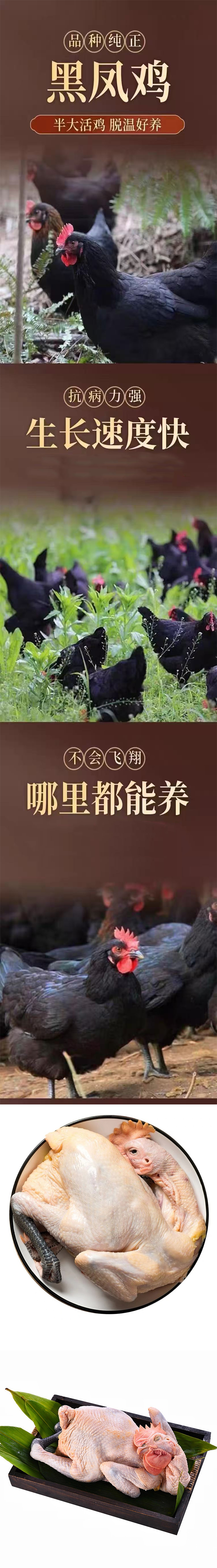 详情页.jpg