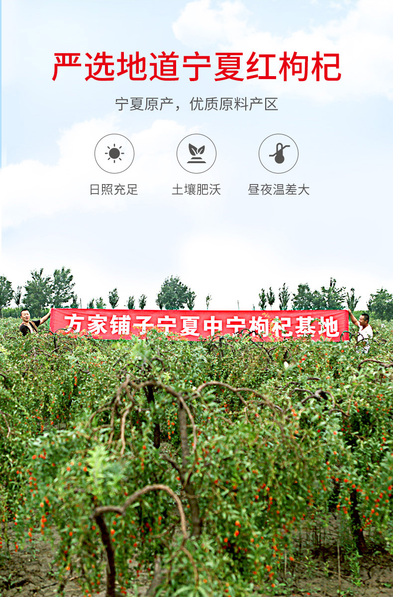 宁夏红枸杞详情页_12.jpg