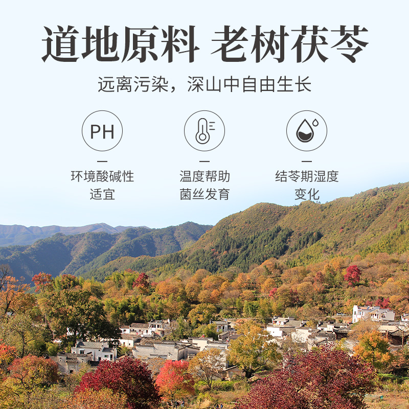 主图-茯苓丁基地图.jpg