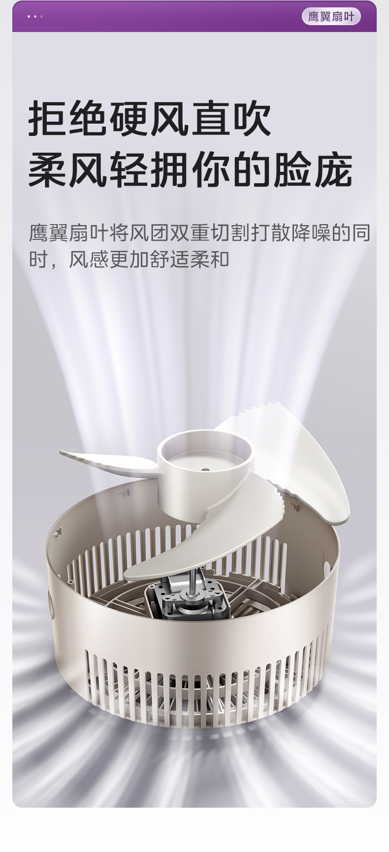 详情8.jpg