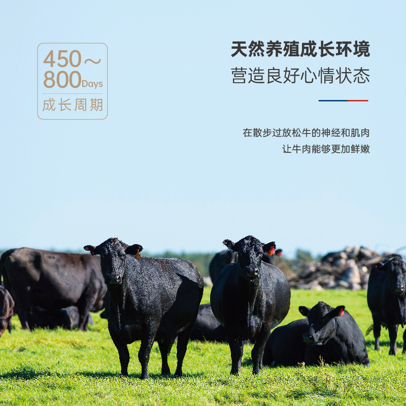 800-3.jpg