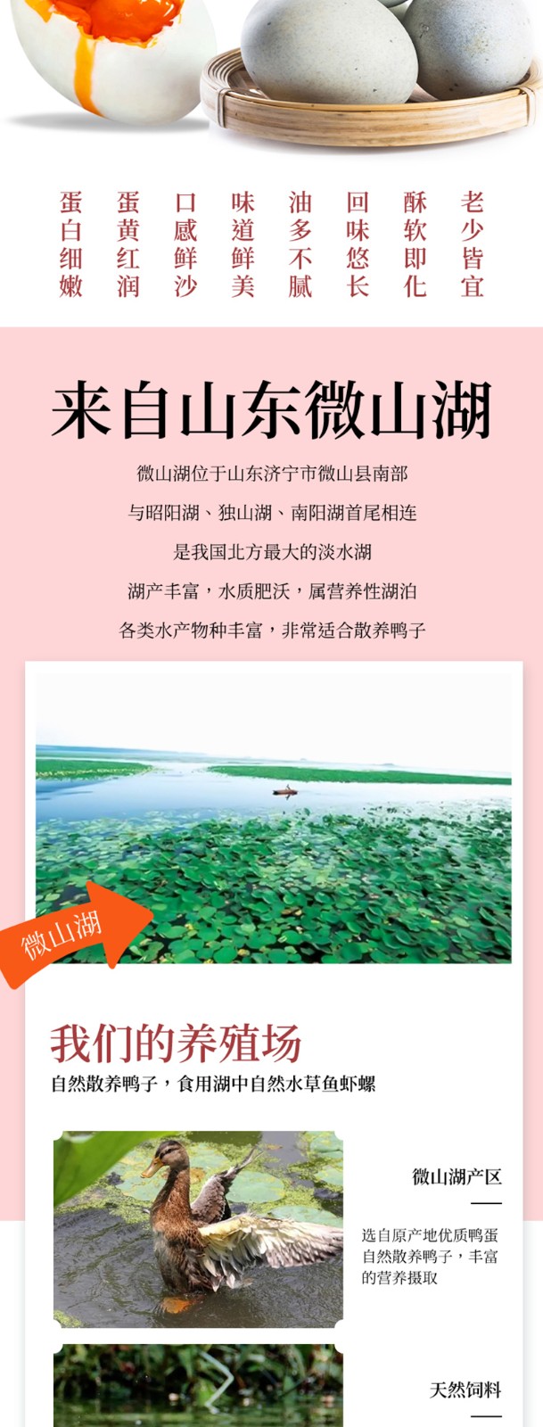 滨湖四味礼盒详情_02.jpg