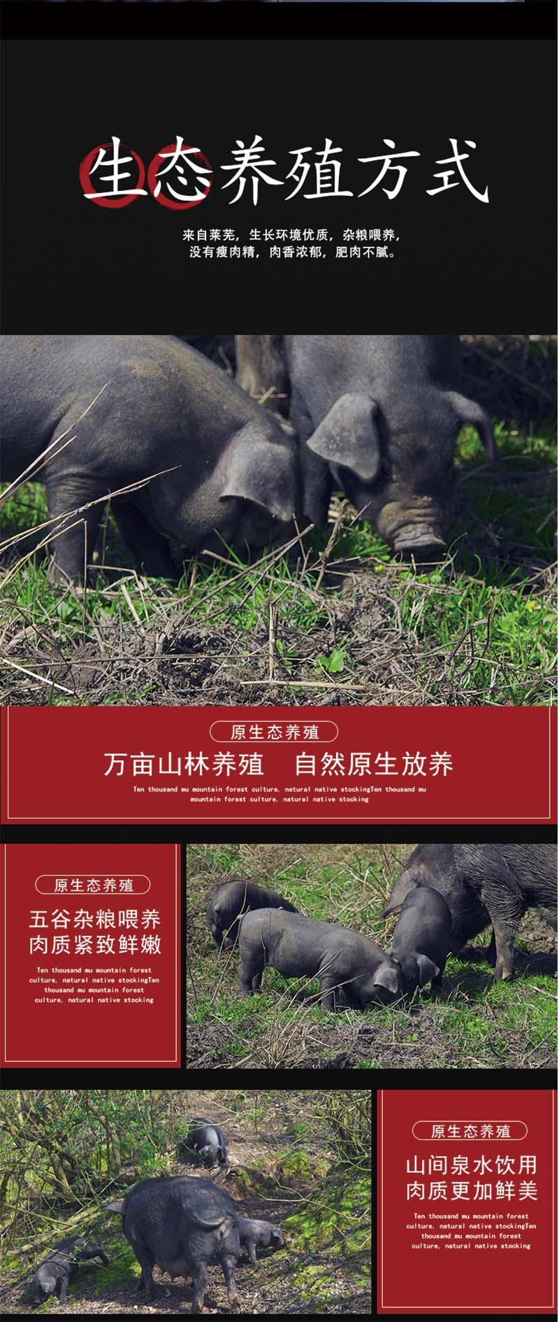 详情页3.jpg