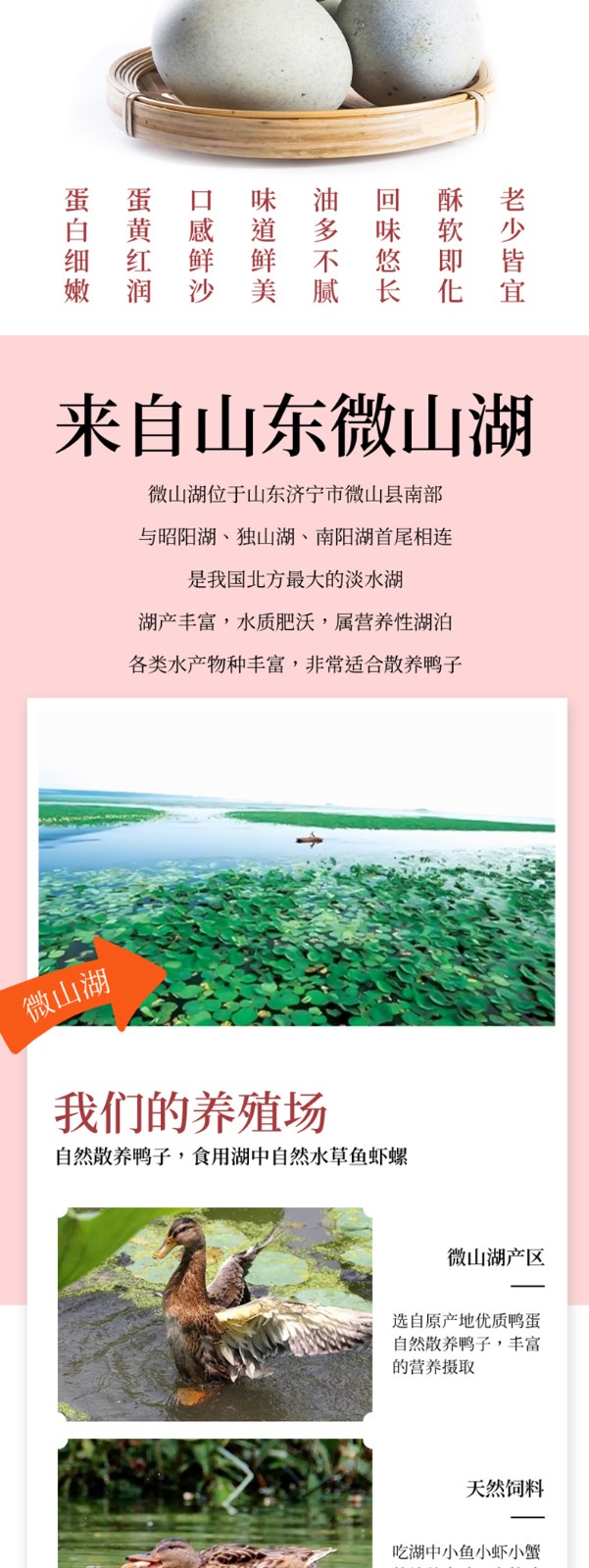 滨湖三珍礼盒详情_02.jpg