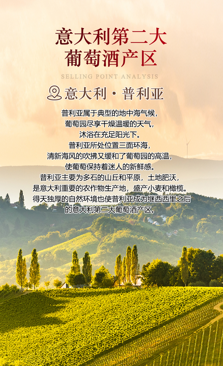 欧乐干红葡萄酒(1)(1)_03.jpg